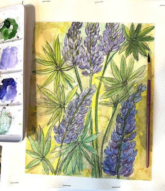 Lupines In Bloom