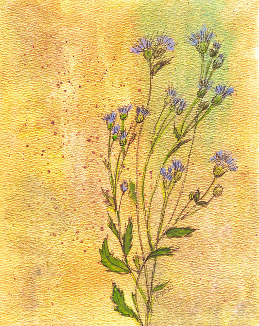 Even Thistles Shine