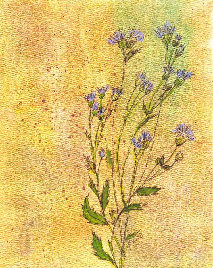 Even Thistles Shine