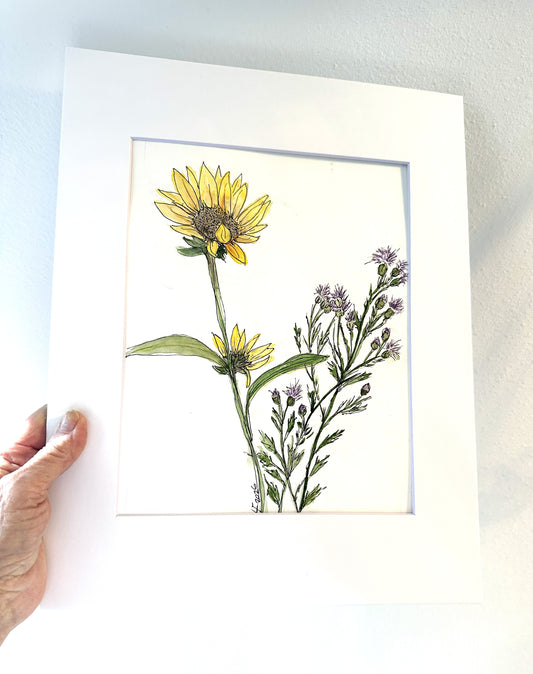 Late Summer Ranch Flowers