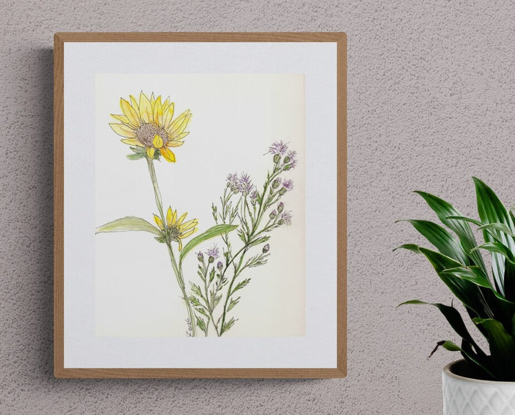 Late Summer Ranch Flowers
