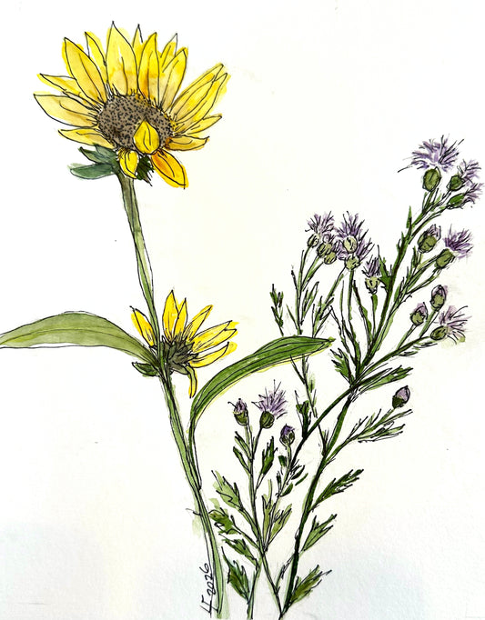 Original watercolor painting of sunflower, thistle by Lyn Foley