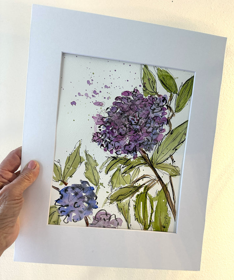 Mamay's Hydrangeas