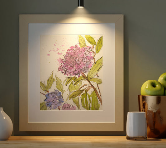 Mamay's Hydrangeas