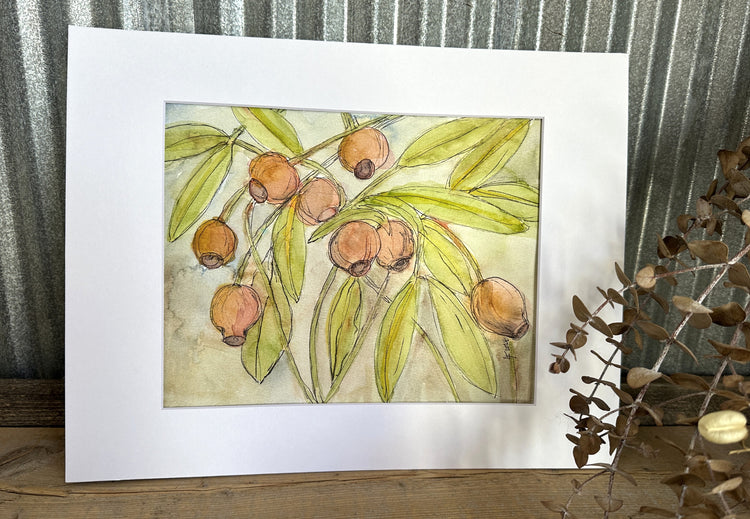 Eucalyptus