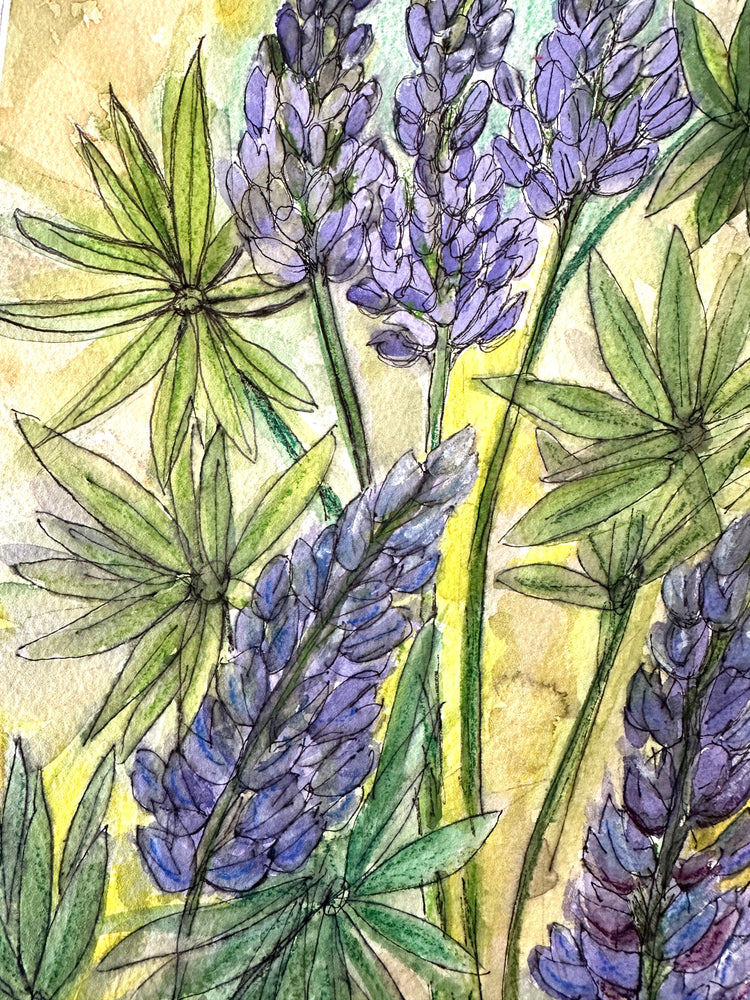 Original Watercolor Painting – Purple Lupine Wildflowers – “Lupines In Bloom” by Lyn Foley