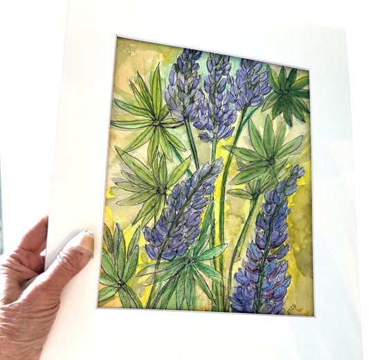 Lupines In Bloom
