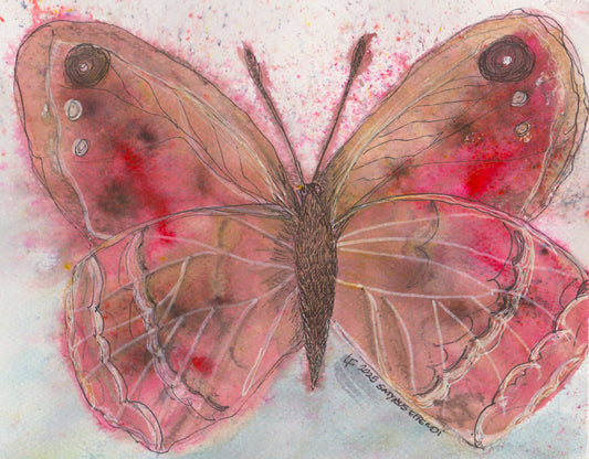 Original Watercolor Butterfly Painting – Satyrus Effendi Butterfly – “Satyrus Effendi” by Lyn Foley
