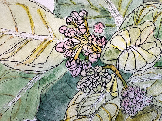 Spirit of Transformation Watercolors