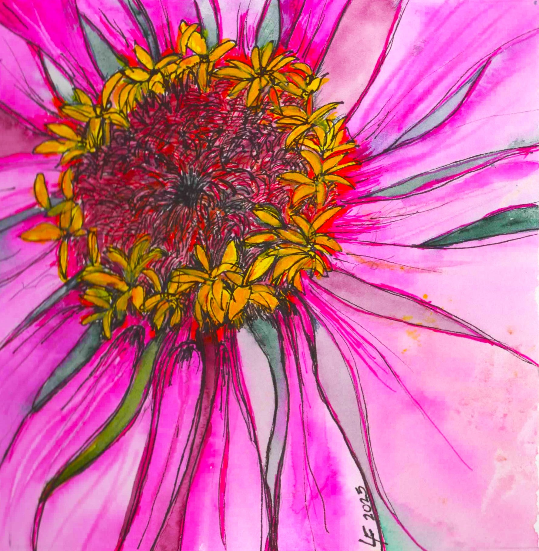 Original 6 x 6 watercolor zinnia painting by Lyn Foley. Vibrant pink floral artwork, matted to 10 x 10 and ready for framing. One of a kind.