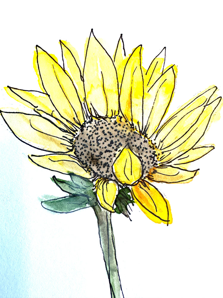 Late Summer Ranch Flowers
