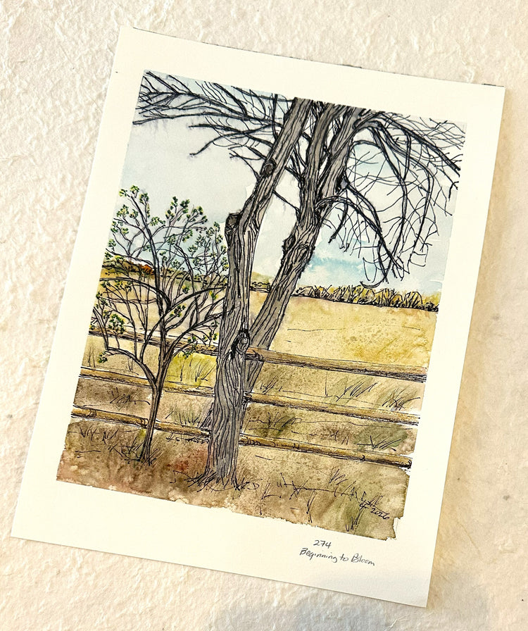 Beginning to Bloom - Original Watercolor by Lyn Foley