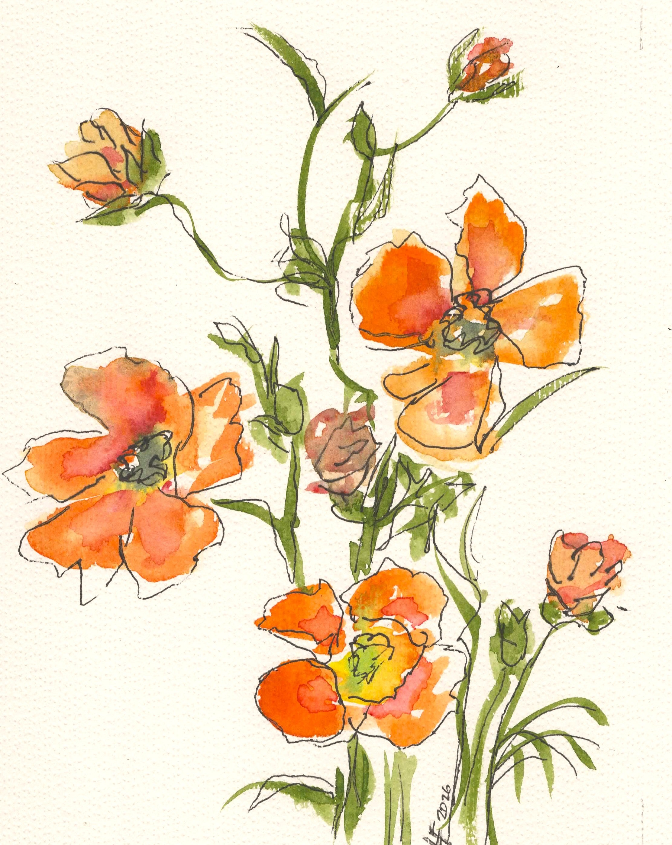 Original ranunculus watercolor painting by Wyoming artist Lyn Foley. Loose watercolor and ink florals inspired by seed catalogs, garden dreams, and the joyful anticipation of summer blooms.