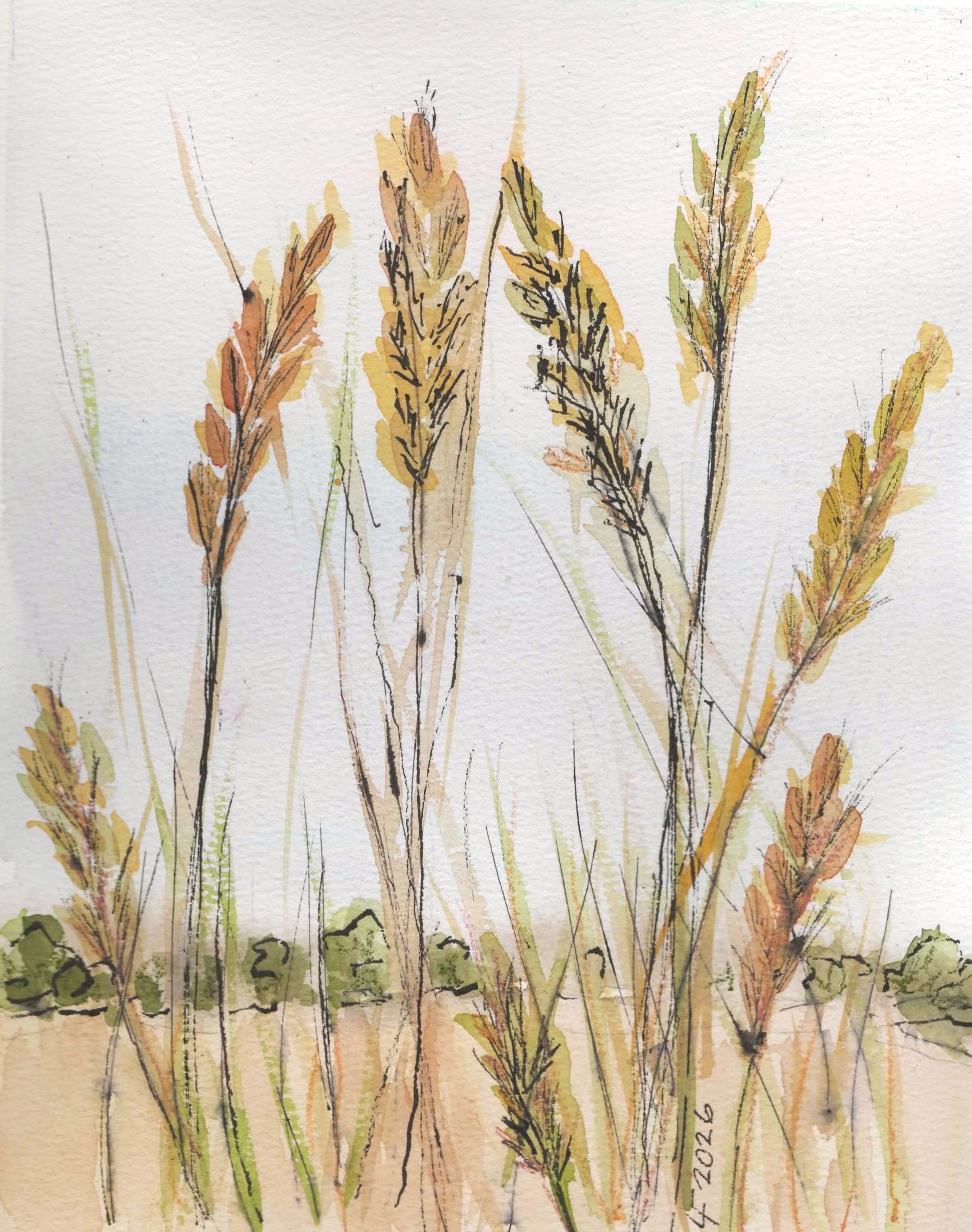 Whispering Grasses Original Watercolor | Lyn Foley Wyoming Artist Meta Description: A
serene original watercolor inspired by grasses moving in the wind. Hand-painted by Lyn Foley in
Wyoming. One-of-a-kind artwork