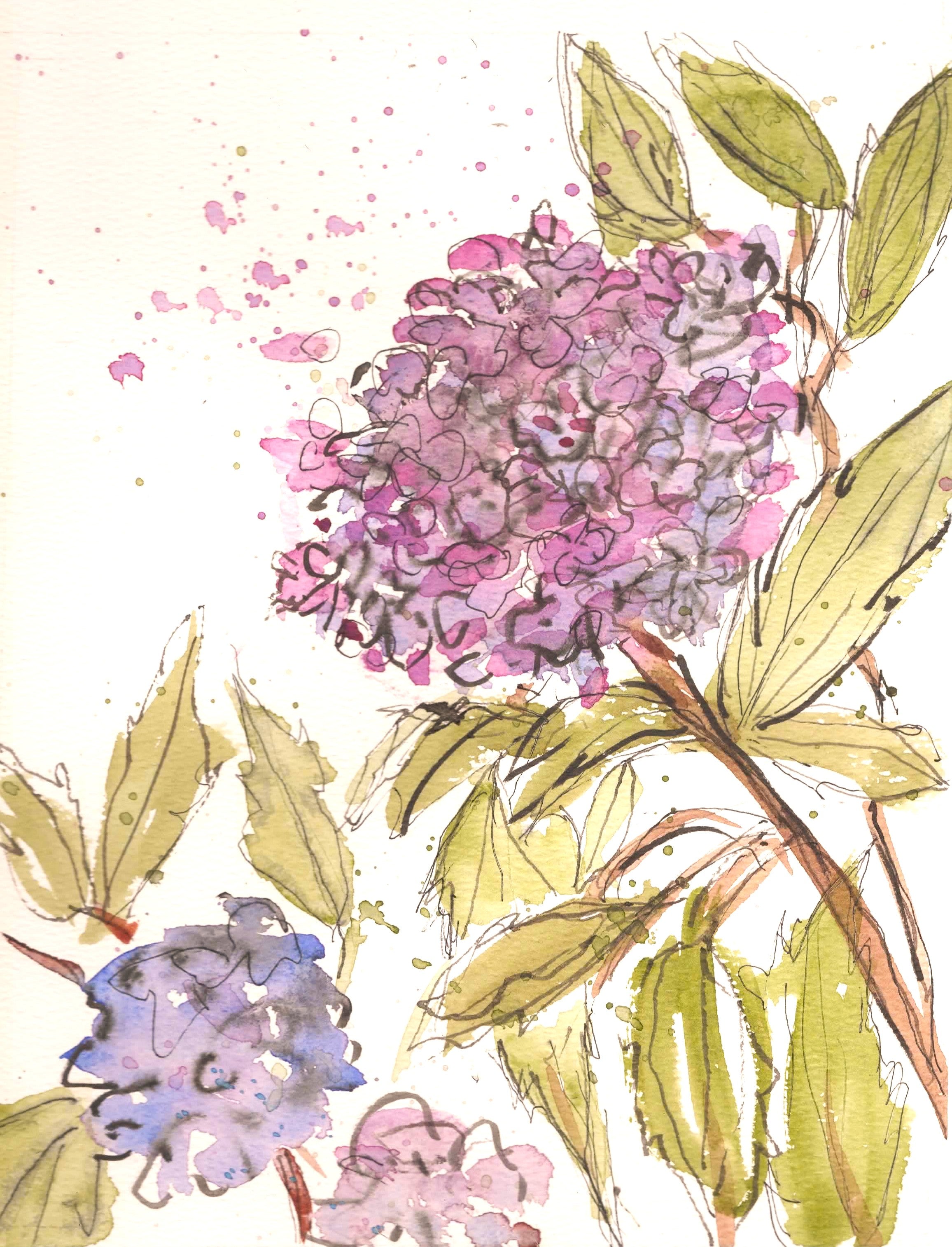  Original Hydrangea Watercolor Painting by Lyn Foley
