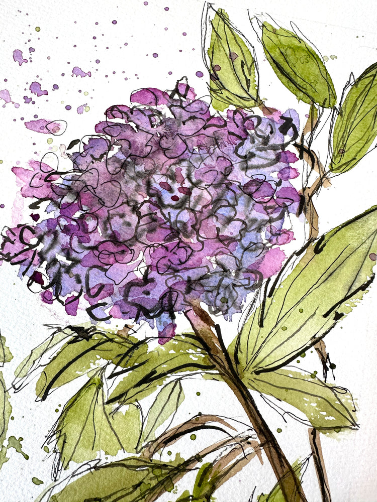 Mamay's Hydrangeas