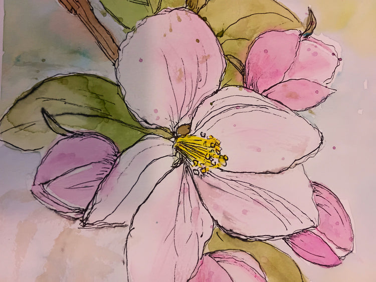 Blush of Spring