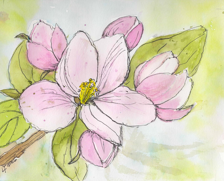 Blush of Spring | Original Apple Blossom Watercolor Painting by Lyn Foley