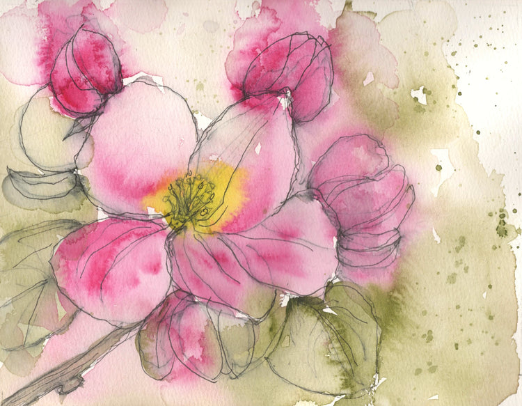 Inspired by apple blossoms lost to a Wyoming spring freeze, this original watercolor and ink painting by Lyn Foley celebrates the beauty that remains in memory after a fleeting season has passed.