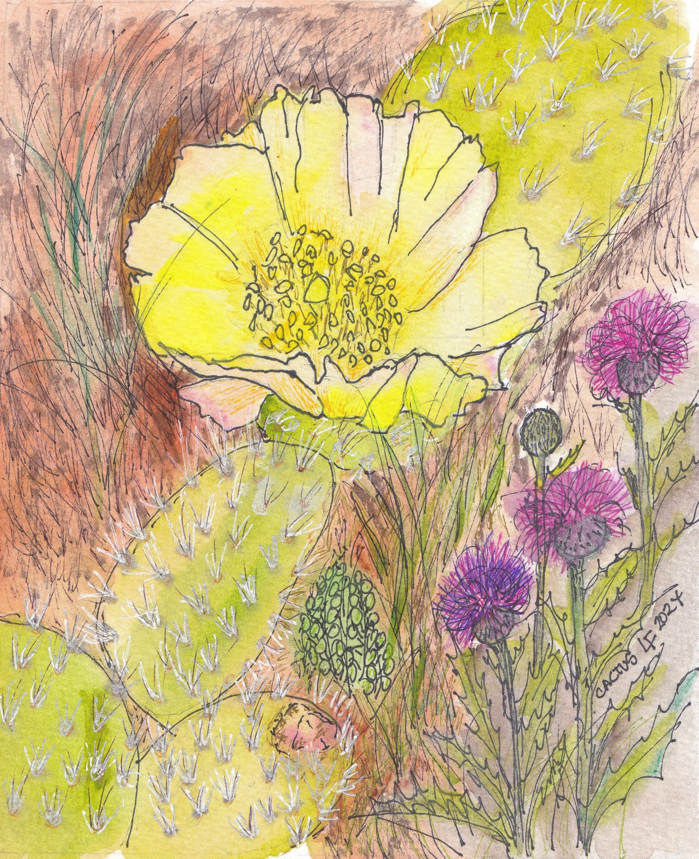 Original watercolor painting cactus bloom by artist Lyn Foley