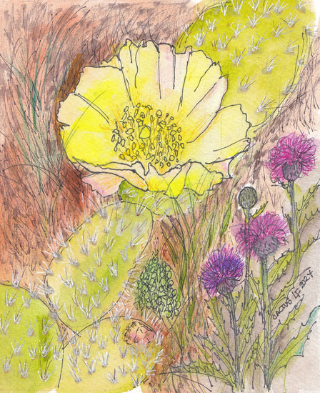 Original watercolor painting cactus bloom by artist Lyn Foley