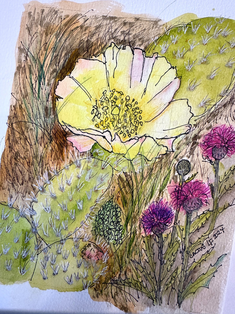 Where Thistles Bloom