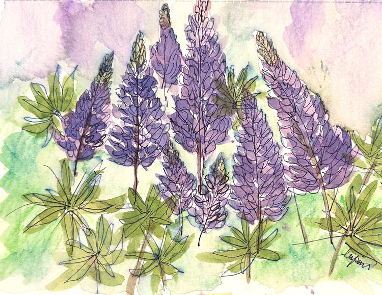 Lupine Glow