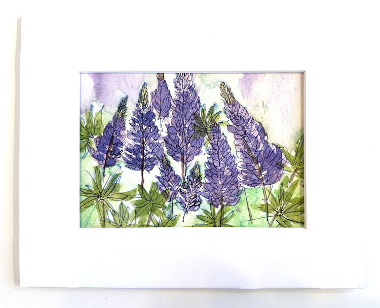Lupine Glow