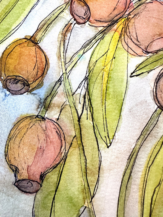 Eucalyptus