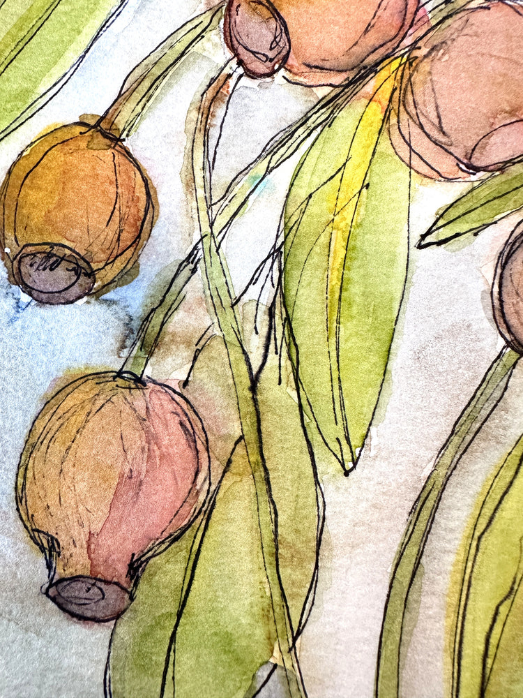 Eucalyptus