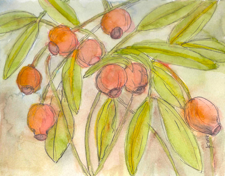 Sold Original Watercolor Painting – Eucalyptus Leaves Botanical – “Eucalyptus” by Lyn Foley