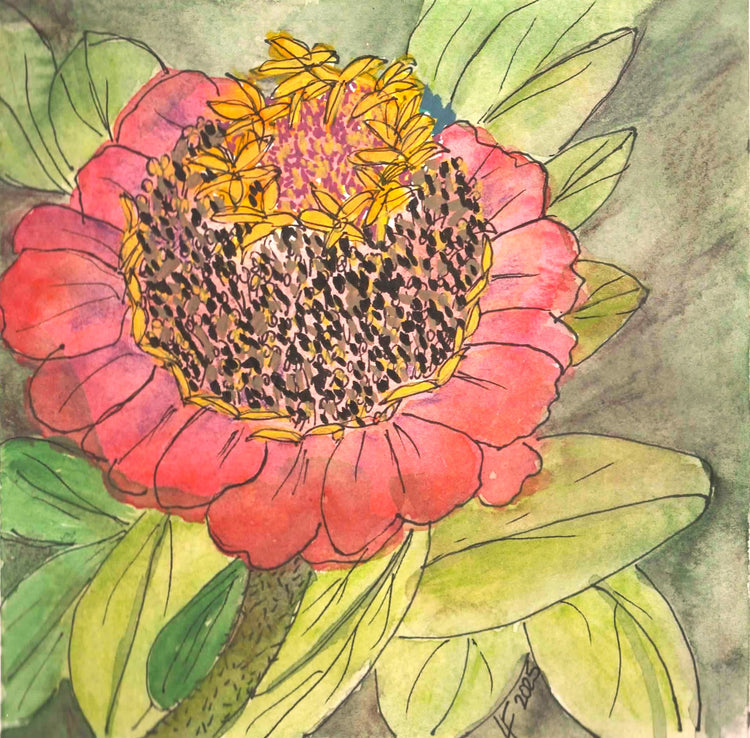 Original 6 x 6 zinnia watercolor by Lyn Foley. Soft, nature-inspired floral painting, matted to 10 x 10 and ready for framing. One of a kind.