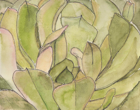 Oringinal watercolor painting of succulent by Lyn Foley