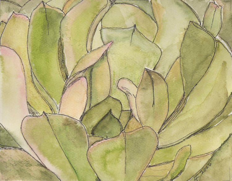 Oringinal watercolor painting of succulent by Lyn Foley