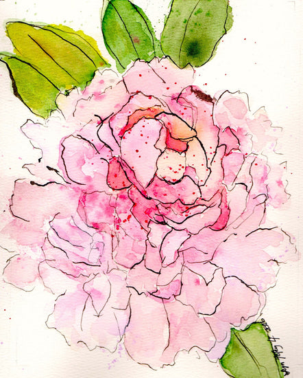Original watercolor painting of a soft pink peony in bloom by Wyoming artist Lyn Foley.