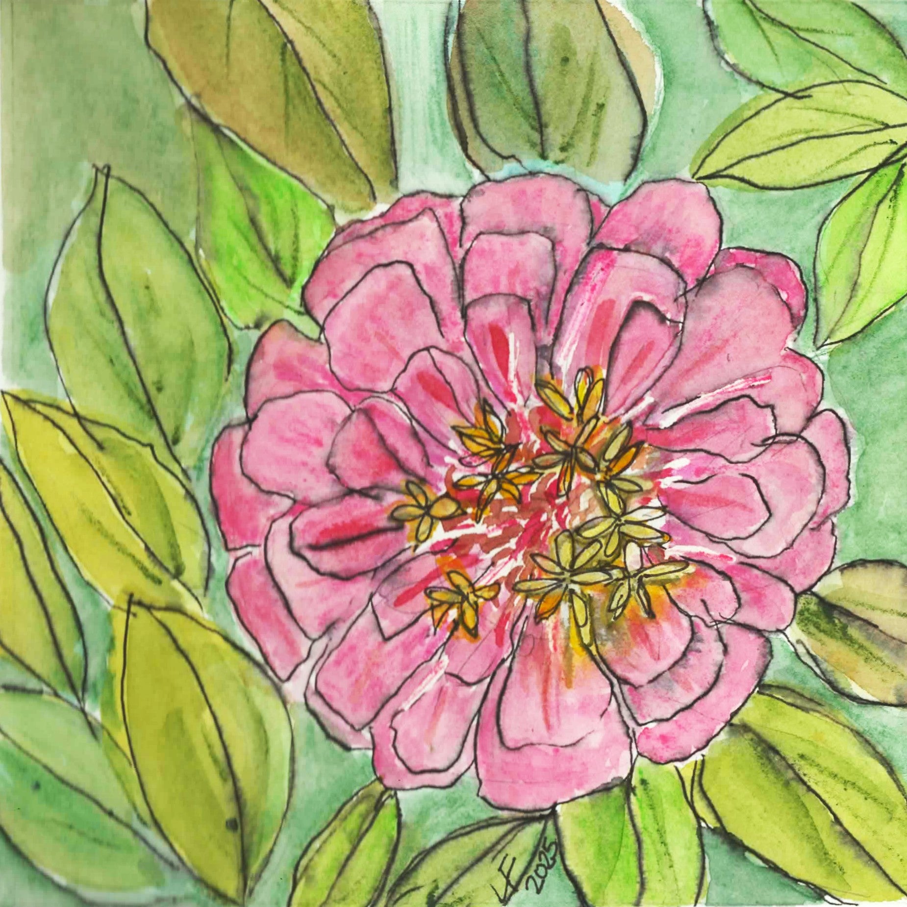 Soft Morning Bloom - Original Zinnia Wtaercolor Painting