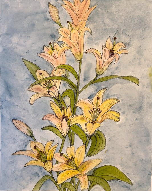 Lilies