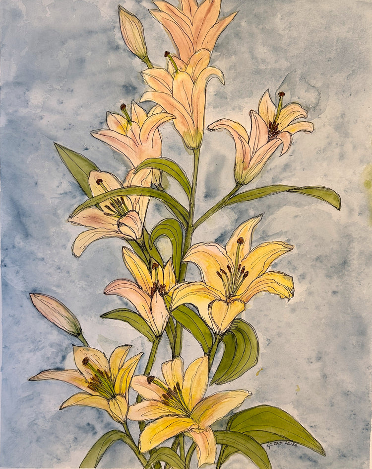 Lilies